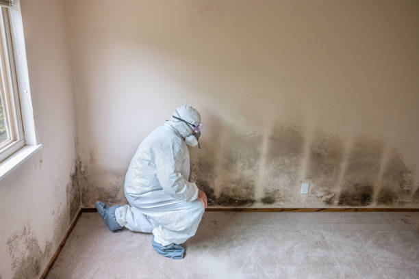 Mold Remediation for Rental Properties in Glen Alpine, NC